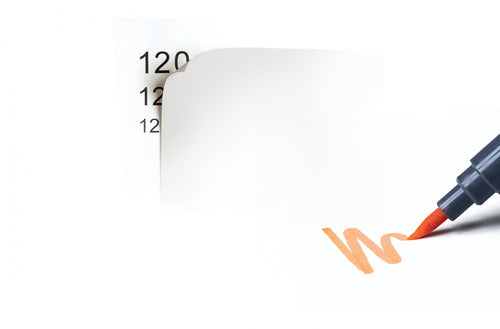 120g Edition Notebook (A5), 203 pages, Ruled, Sage