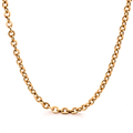 Ion Plated Gold Stainless Steel Chain 55cm