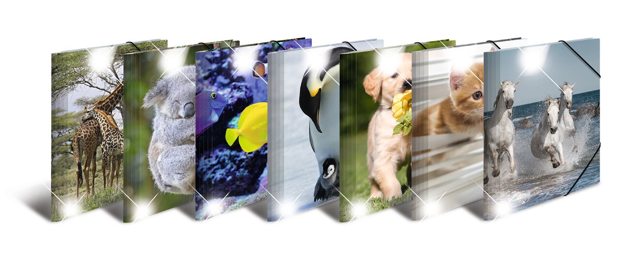 Elasticated folder glossy animals A4 Cats