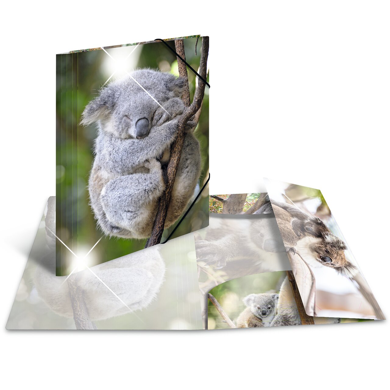 Elasticated folder glossy animals A4 Koala