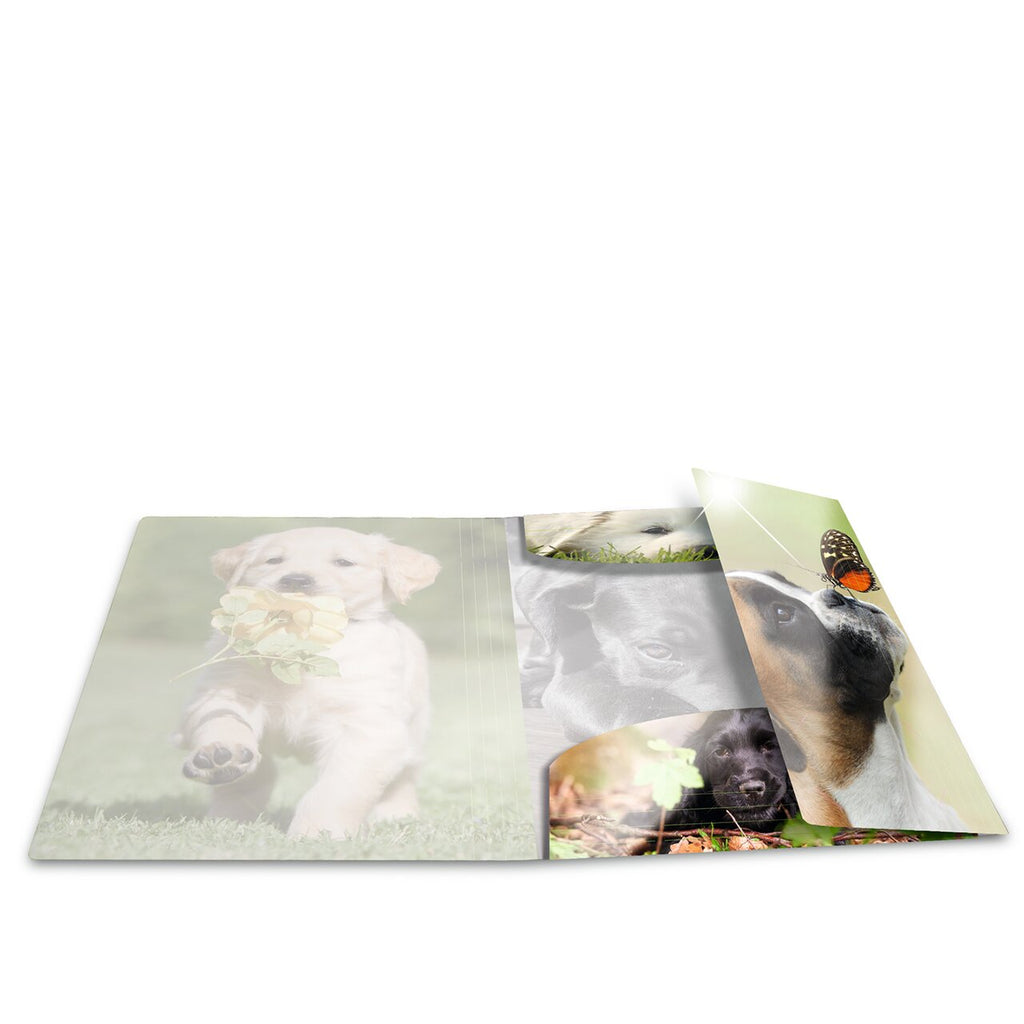 Elasticated folder glossy animals A4 Dogs
