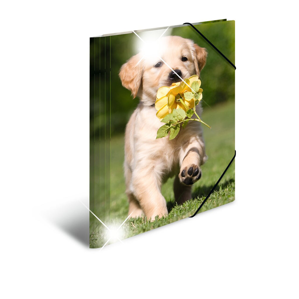 Elasticated folder glossy animals A4 Dogs