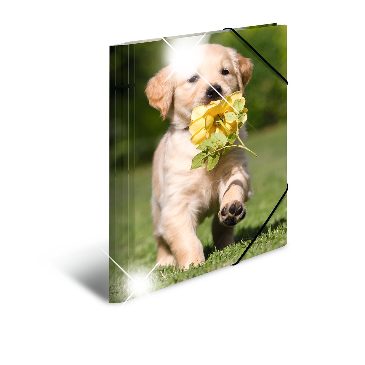 Elasticated folder glossy animals A4 Dogs