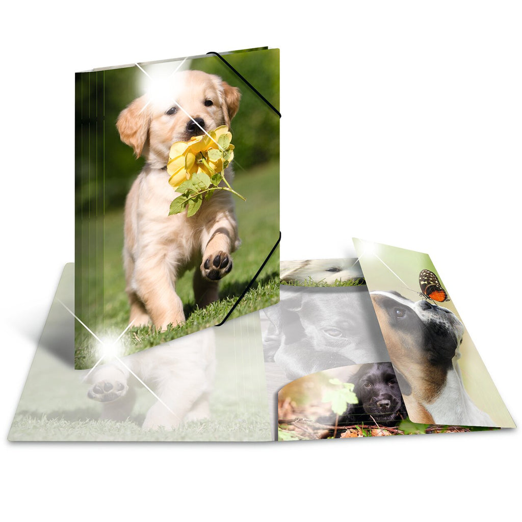 Elasticated folder glossy animals A4 Dogs