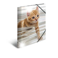 Elasticated folder glossy animals A4 Cats