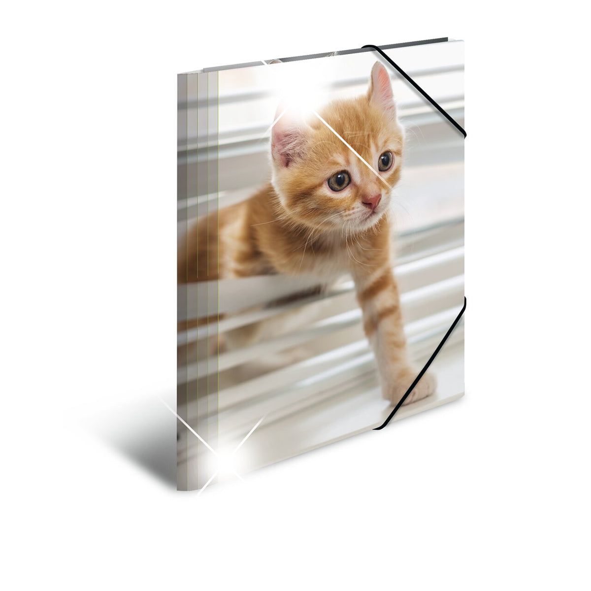 Elasticated folder glossy animals A4 Cats