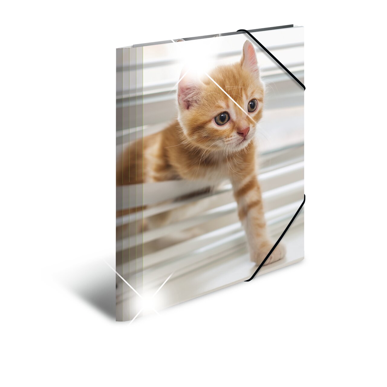 Elasticated folder glossy animals A4 Cats