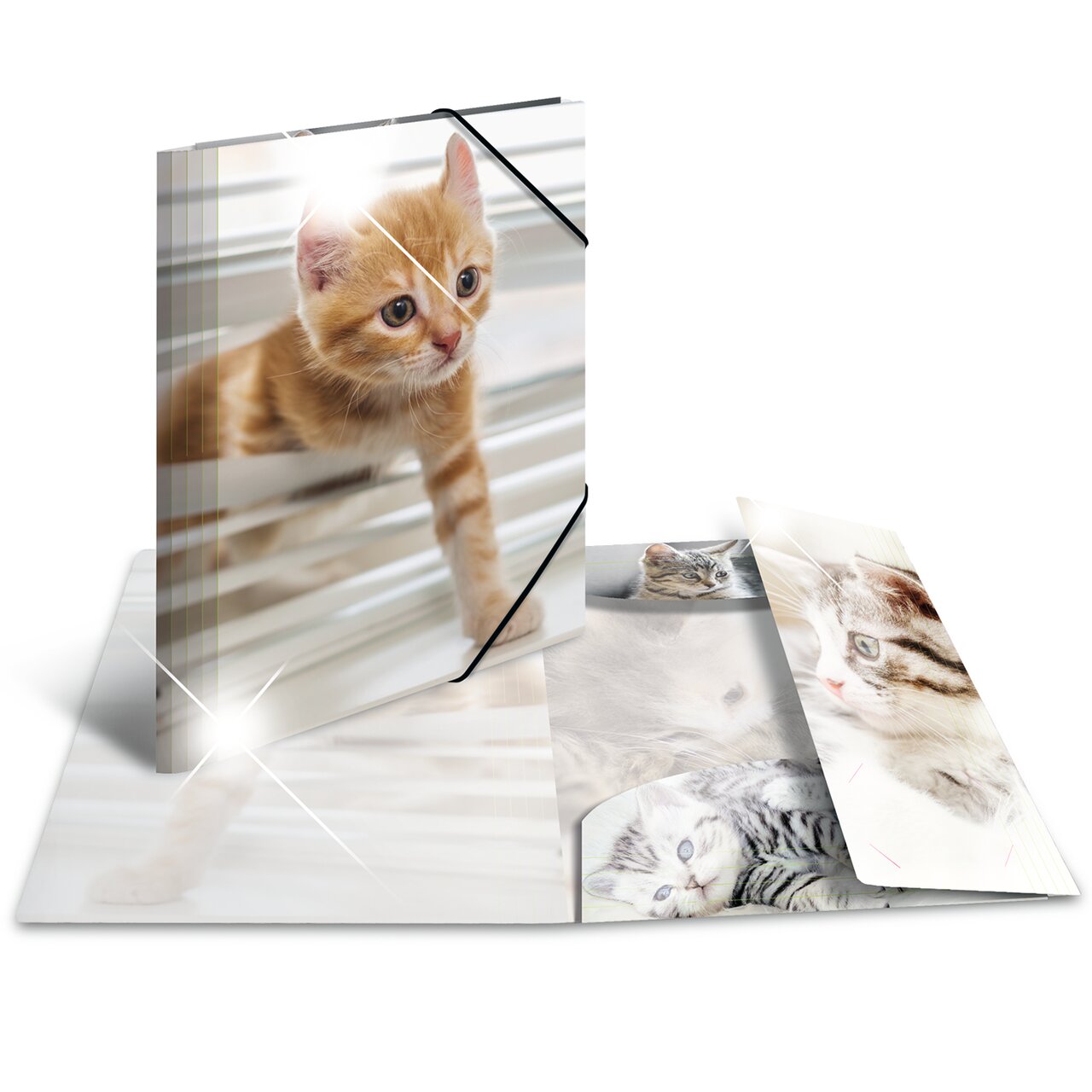 Elasticated folder glossy animals A4 Cats