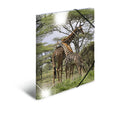 Elasticated Folder A3 Giraffe
