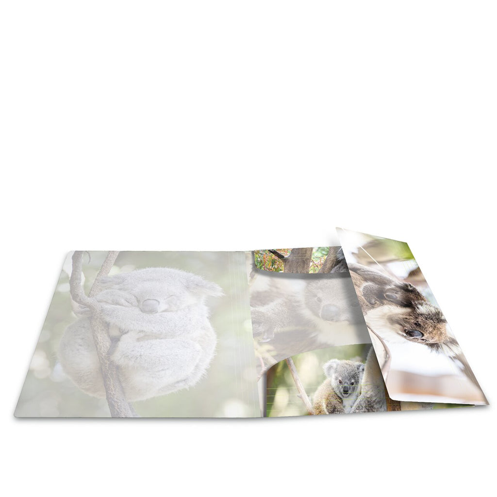 Elasticated folder A3 Koala