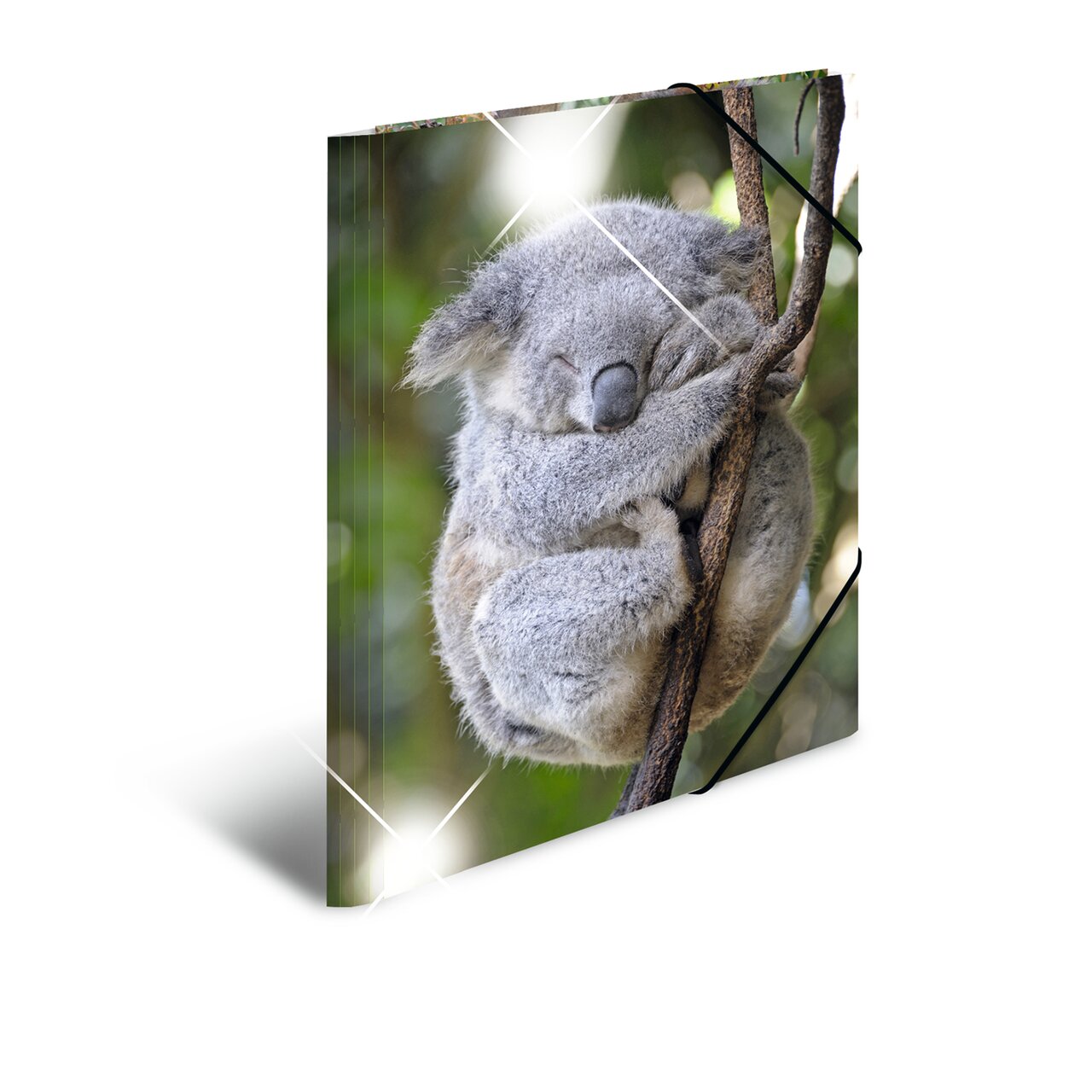 Elasticated folder A3 Koala