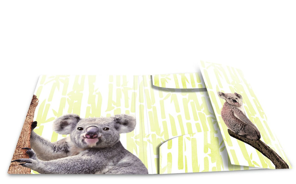 Elasticated folder glossy animals A4 Koala Family