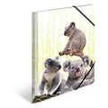 Elasticated folder glossy animals A4 Koala Family