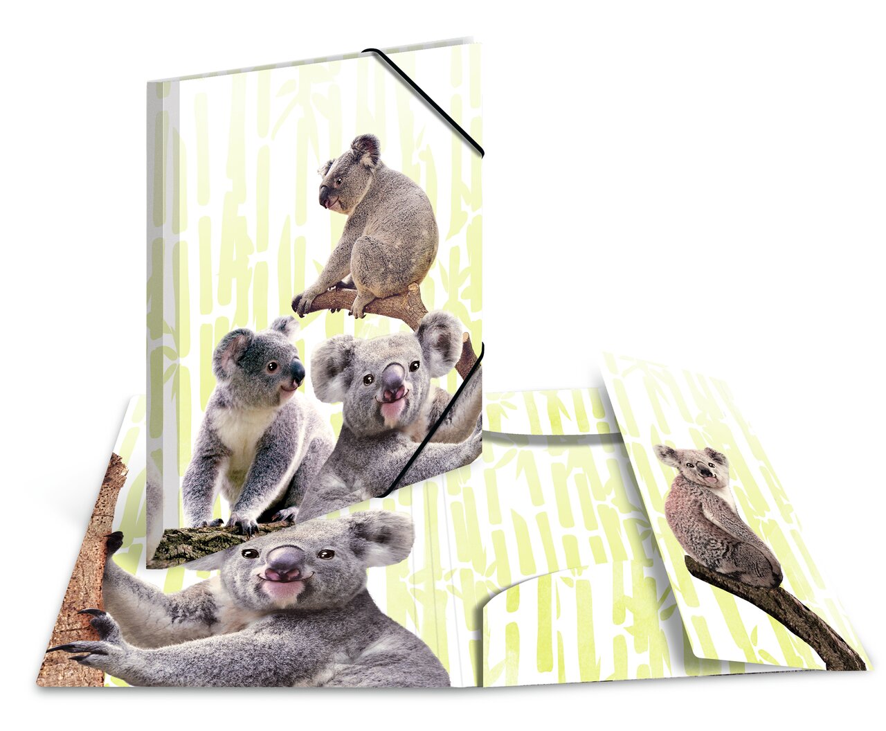 Elasticated folder glossy animals A4 Koala Family