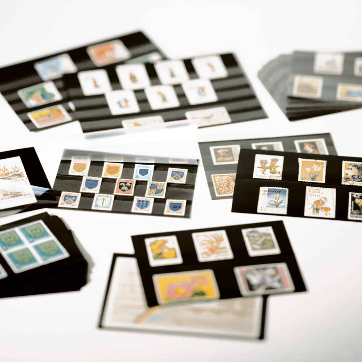 Standard cards PVC 148x85mm, 2 clear strips with cover sheet, black card, 100 per pack