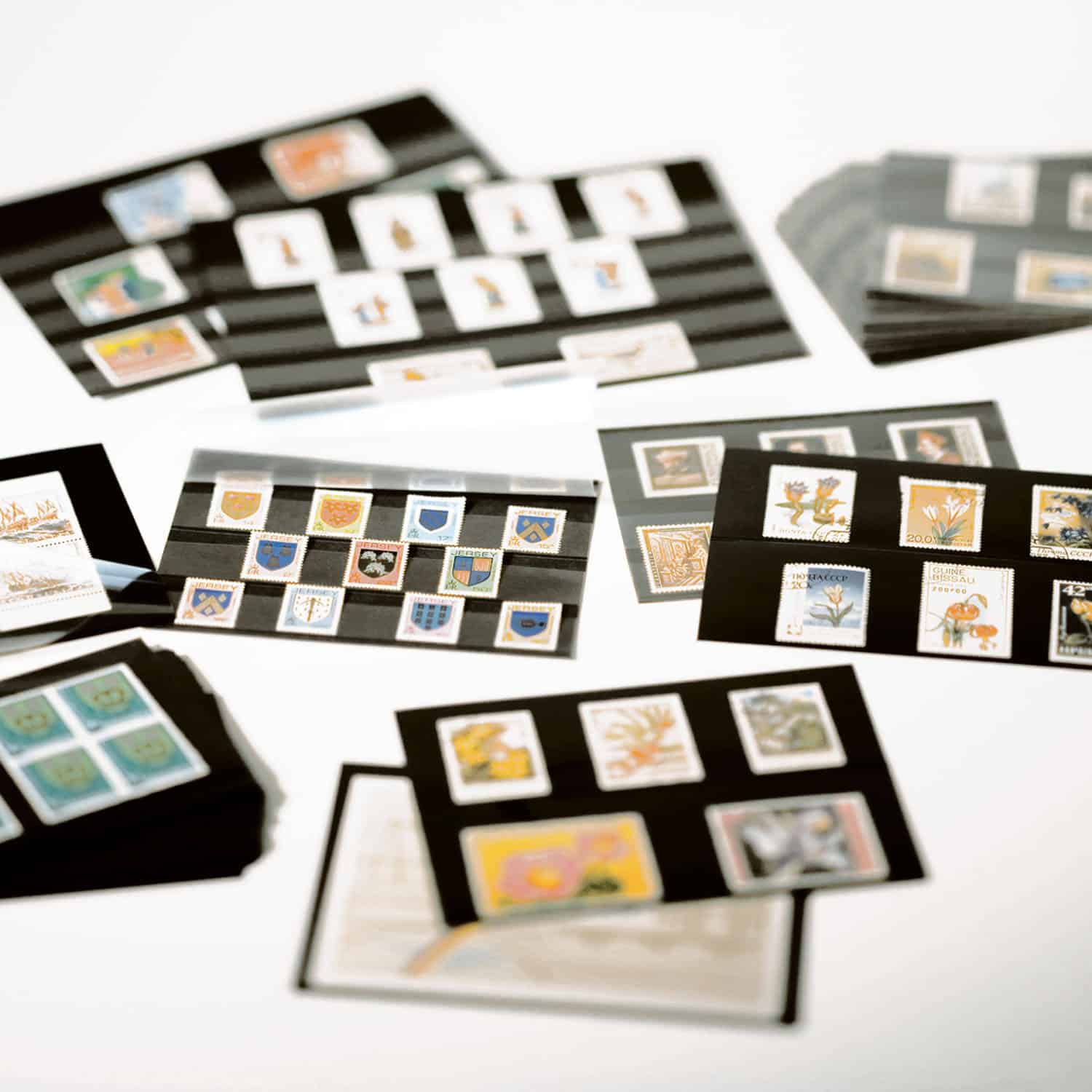 Standard cards PVC 148x85mm, 2 clear strips with cover sheet, black card, 100 per pack