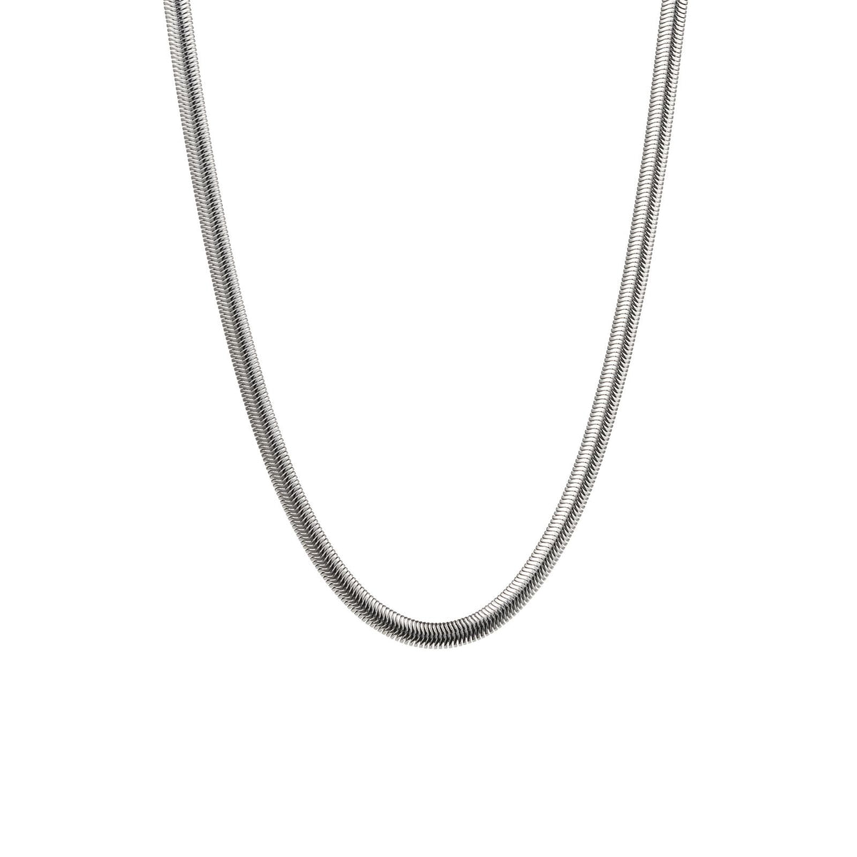 Stainless Steel Chain (50cm)