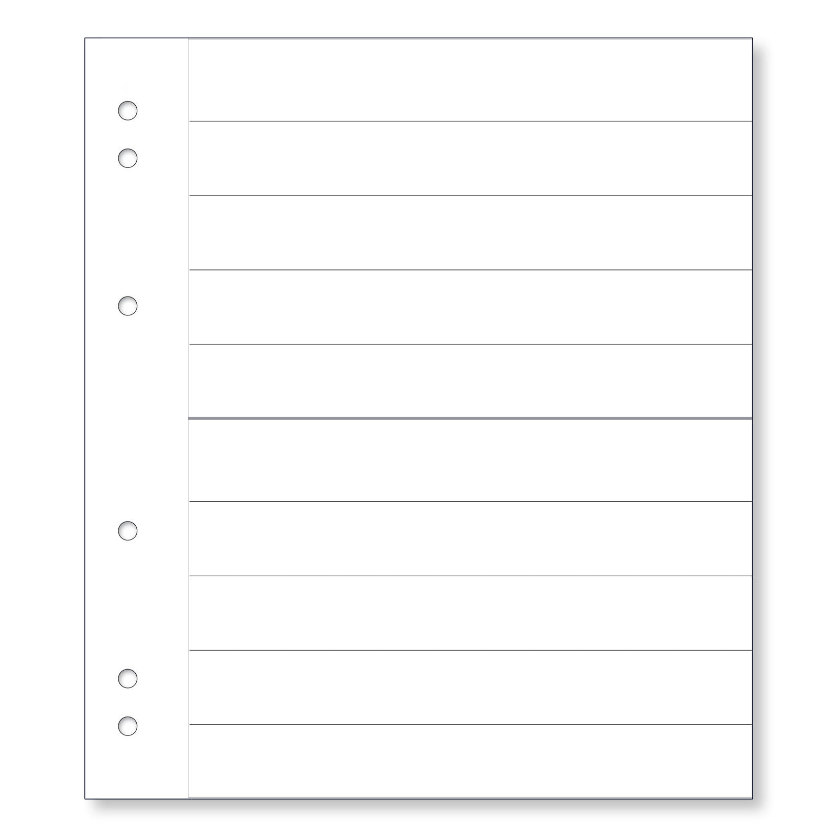 Renniks Banknote Album Plastic Refill Pages, 2 Pockets, Pack 10