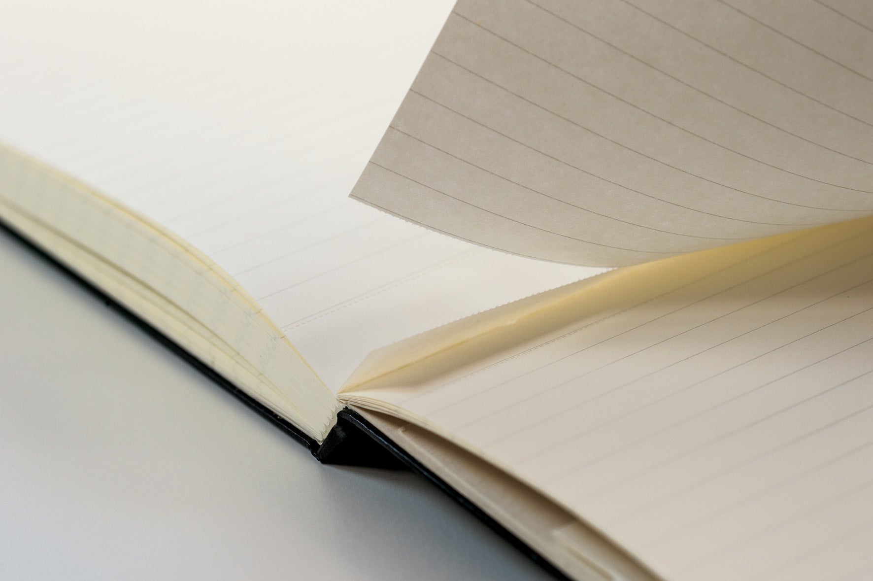 Reporter Notepad Pocket, Powder, Dotted